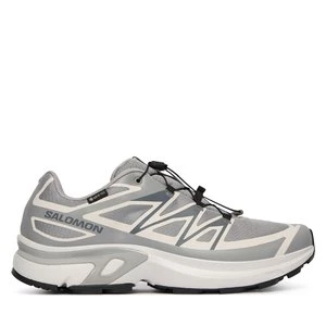 Obrázek produktu Sneakersy Salomon T-Evr Gtx M L49143800 Šedá