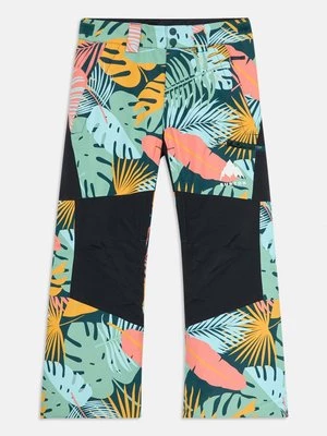Obrázek produktu Snowboardové kalhoty Burton