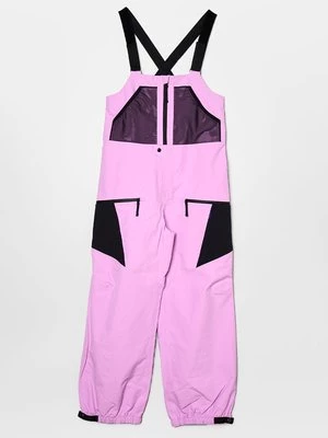 Obrázek produktu Snowboardové kalhoty Burton fialová