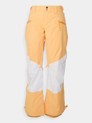 Obrázek produktu Snowboardové kalhoty Roxy
