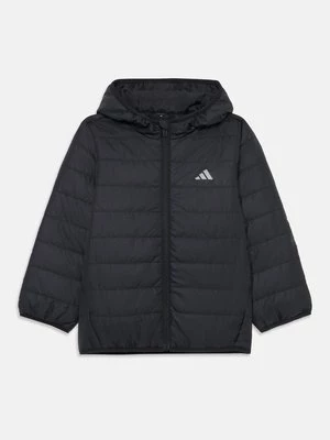 Obrázek produktu Softshellová bunda adidas performance