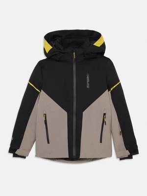 Obrázek produktu Softshellová bunda icepeak
