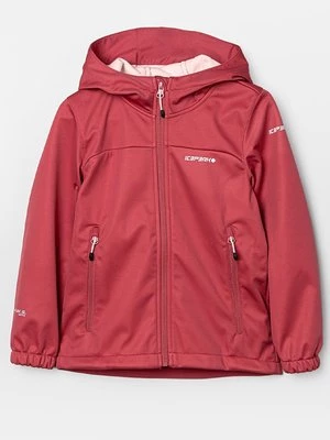 Obrázek produktu Softshellová bunda icepeak