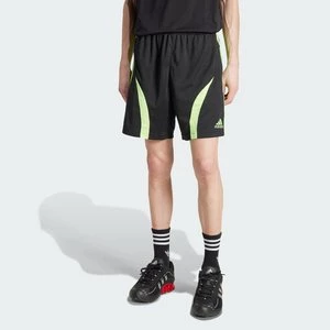 Obrázek produktu Šortky Adicolor Teamgeist Adidas
