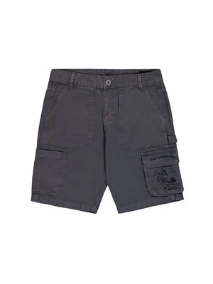 Obrázek produktu Šortky alpha industries