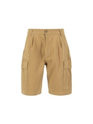 Obrázek produktu Šortky alpha industries