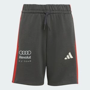 Obrázek produktu ŠORTKY AUDI REVOLUT F1 TEAM DNA Adidas