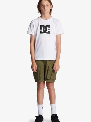 Obrázek produktu Šortky DC Shoes
