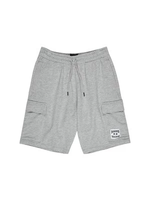 Obrázek produktu Šortky DC Shoes