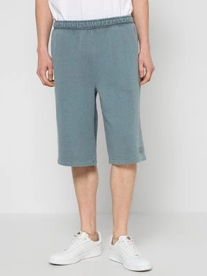 Obrázek produktu Šortky Dickies