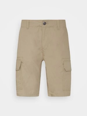 Obrázek produktu Šortky Dickies