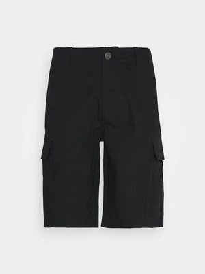 Obrázek produktu Šortky Dickies