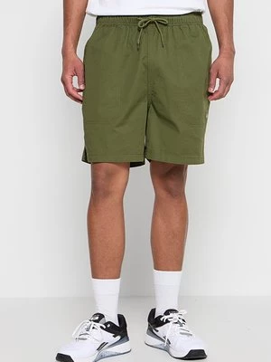 Obrázek produktu Šortky Dickies