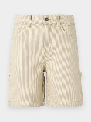 Obrázek produktu Šortky Dickies