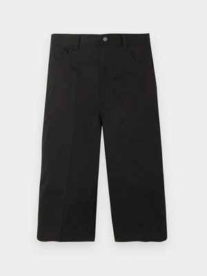 Obrázek produktu Šortky Dickies