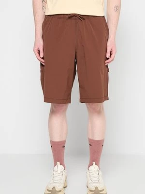 Obrázek produktu Šortky Dickies