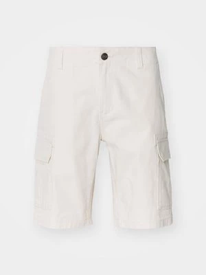 Obrázek produktu Šortky Dickies
