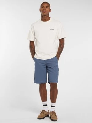 Obrázek produktu Šortky Dickies