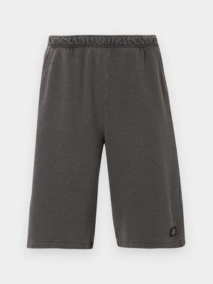 Obrázek produktu Šortky Dickies