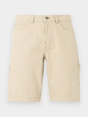 Obrázek produktu Šortky Dickies