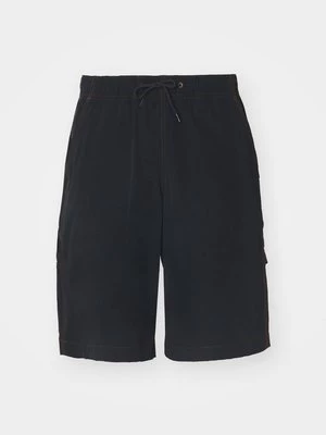 Obrázek produktu Šortky Dickies
