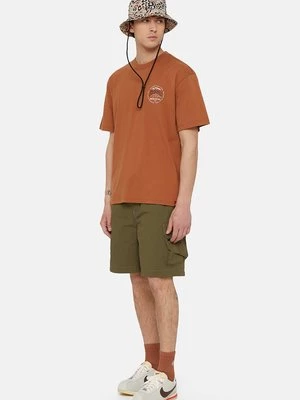 Obrázek produktu Šortky Dickies