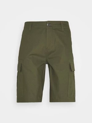 Obrázek produktu Šortky Dickies