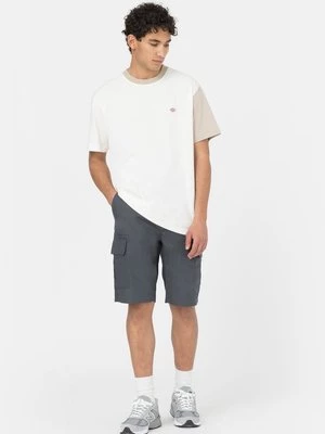 Obrázek produktu Šortky Dickies