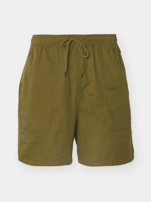 Obrázek produktu Šortky Dickies