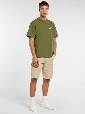 Obrázek produktu Šortky Dickies