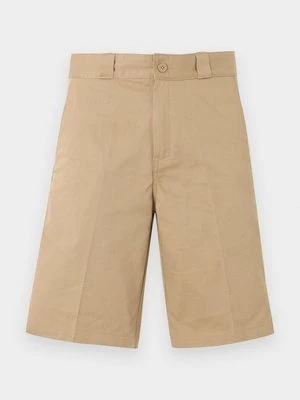 Obrázek produktu Šortky Dickies