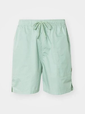 Obrázek produktu Šortky Dickies