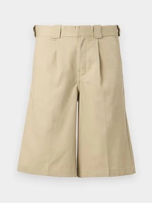 Obrázek produktu Šortky Dickies