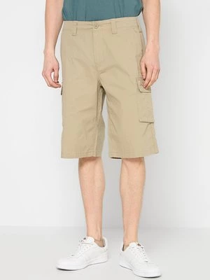 Obrázek produktu Šortky Dickies