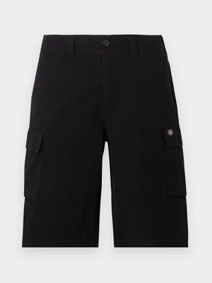 Obrázek produktu Šortky Dickies