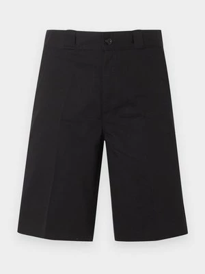 Obrázek produktu Šortky Dickies