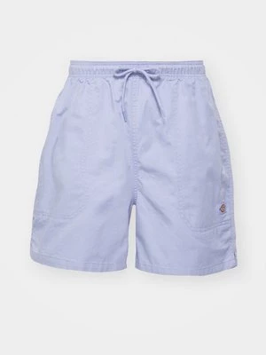 Obrázek produktu Šortky Dickies