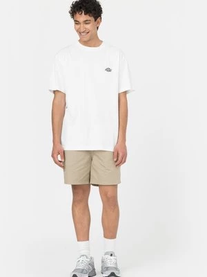 Obrázek produktu Šortky Dickies