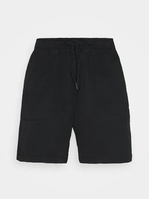 Obrázek produktu Šortky Dickies