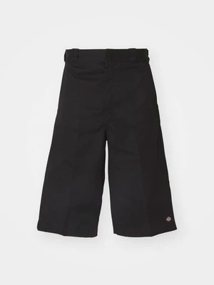 Obrázek produktu Šortky Dickies
