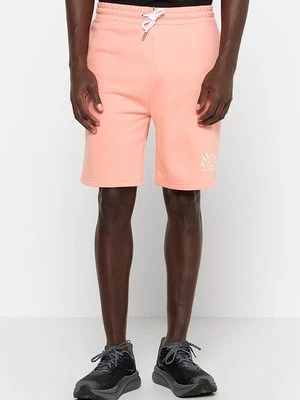 Obrázek produktu Šortky Ellesse