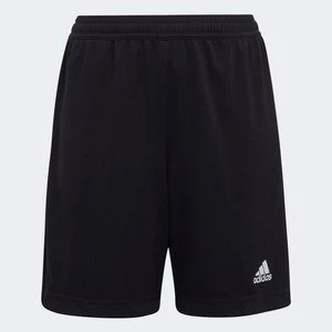 Obrázek produktu Šortky Entrada 22 Training Adidas