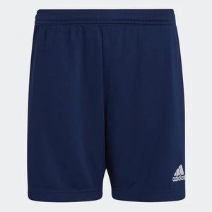 Obrázek produktu Šortky Entrada 22 Training Adidas