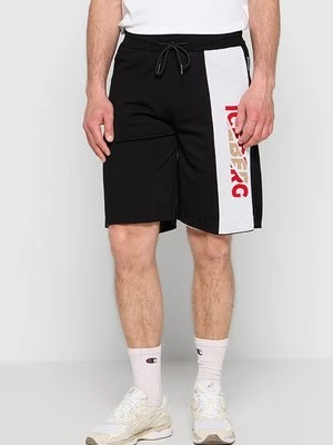 Obrázek produktu Šortky Iceberg
