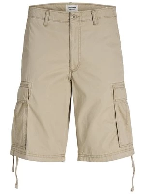 Obrázek produktu Šortky jack & jones