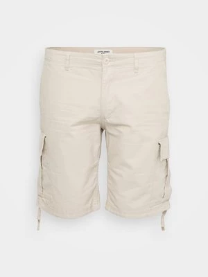 Obrázek produktu Šortky jack & jones