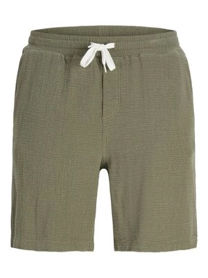 Obrázek produktu Šortky jack & jones