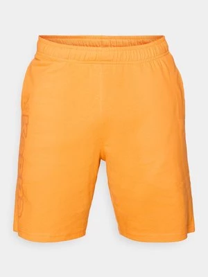 Obrázek produktu Šortky Kappa