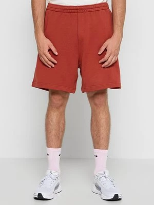 Obrázek produktu Šortky Nike kamenná