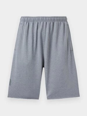 Obrázek produktu Šortky Nike SB